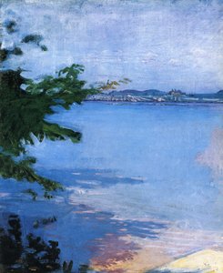 Unknown Image by Abbott Handerson Thayer